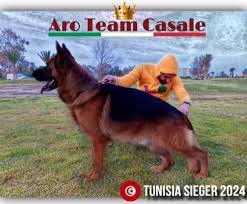 Aro team Casale
